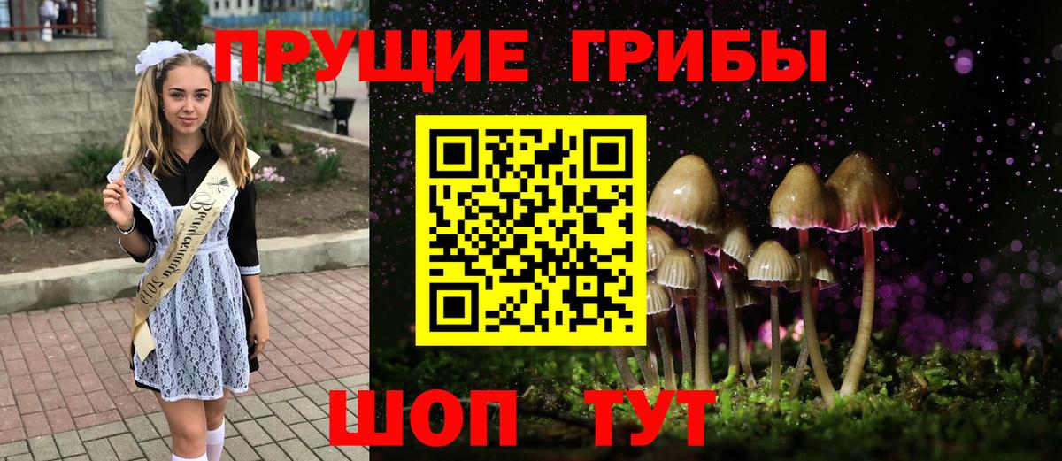 Псилоцибиновые грибы мицелий  Вход с VPN  Псилоцибиновые грибы прущие грибы  Санкт-Петербург 